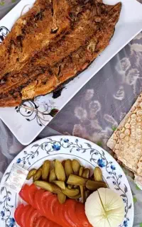 کباب ماهی پالنگان