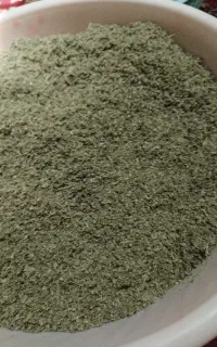پونه تمیز