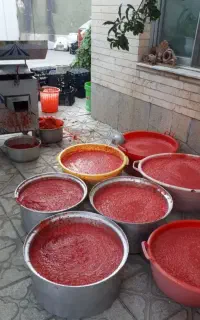 آبگیری گوجه ابگیری انگور درمحل سیار