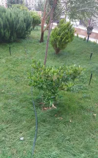 آبیاری قطره ای و بارانی حرفه ای و قیمت مناسب