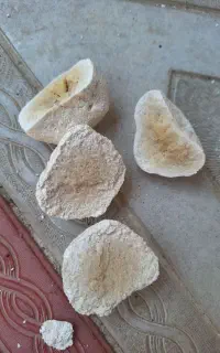 کشک آزربایجان شرقی