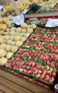 واگذاری لوازم میوه فروشی