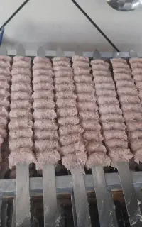 سیخ گیر.یاکوبیده گیر