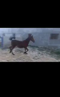 اسب کره مادیان