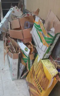ضایعات تلق