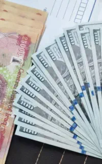 انواع دلار وپول کلکسیونی واسه شاباش