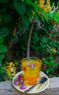 خط دائمی رند کد 1 مشهد