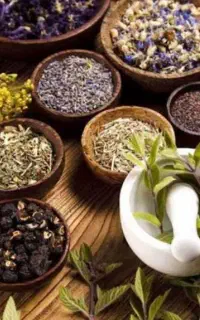 با روزی ۲ ساعت با گوشی در منزل به درآمد برسید