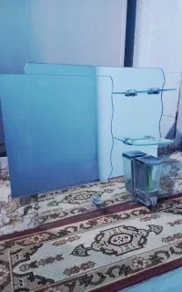 آیینه سالم