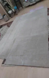 پالاز موکت