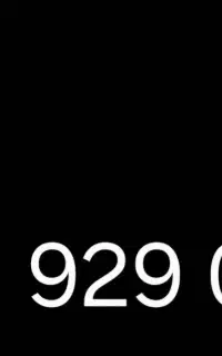 09169290829