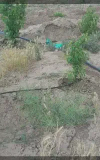آب یاری قطره ای باغی و کشاورزی،لوله کشی