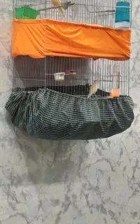 قناری  و سهره