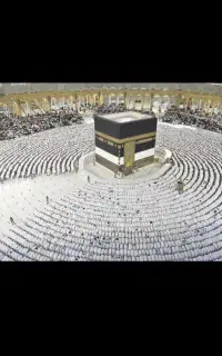 دو عدد فیش حج واجب 86