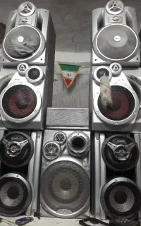 ضبط خانگی