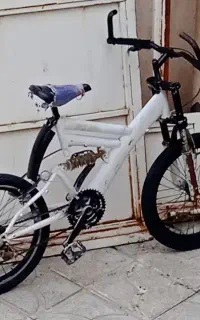 دوچرخه