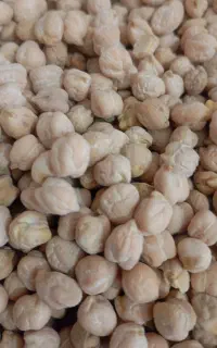 فروش حبوبات ارگانیک