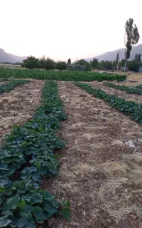 یه کارگر زیر 17