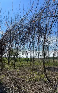 ۲نفر کار روز مزد برای جمعه کار سبک