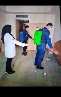 سمپاشی ساس سوسک کنه موریانه موش مارمولک ضمانتی