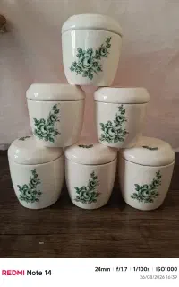 ظروف سرامیکی