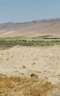 کاه نرم و درجه ۱