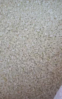 خورده برنج