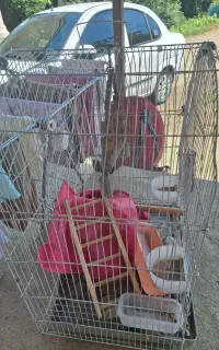 قفس جنس محکم بزرگ