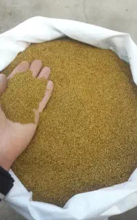 بذر یونجه پابلند صدرصد تضمینی