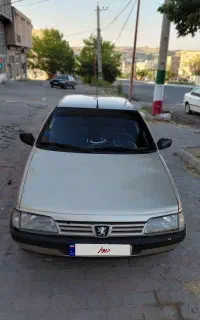 پژو۴۰۵دوگانه