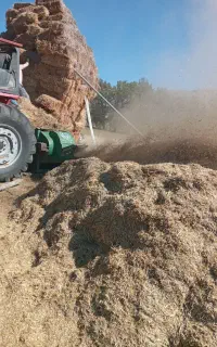 کاه جو،کاه گاودانه ،عدس دیم