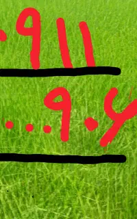 خط رند همراه اول 06-09-100-0911