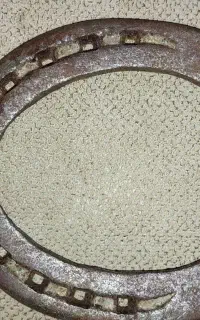 نعل اسب
