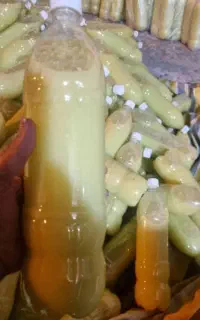 آبلیو 100 درصد