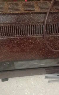 بخاری آدنیس بزرگ