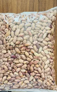 لوبیا چیتی درجه یک و تازه