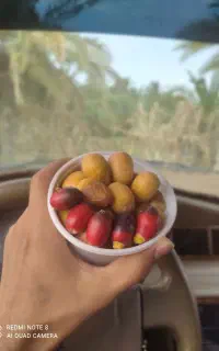 نیاز به کارگر دارم