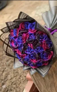 گل های روبانی