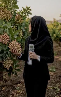 طرح اصلاح سازی خاک های(خرما،پسته،سیاه درخت)