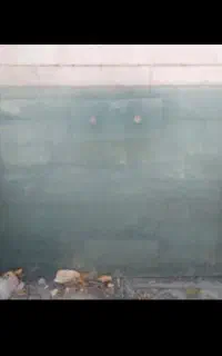 شیشه  سکوریت