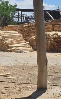 یک نفرپالت زن برای نجاری