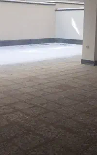 نظافت خانه