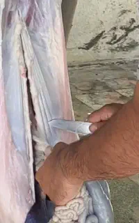قصابی ماهر واسه عید و مراسمات