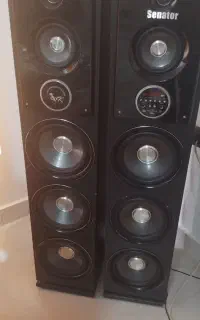 یک جفت باندسناتور