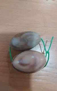 سه جفت مهره اصلی