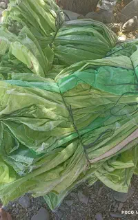 کیسه کاهی