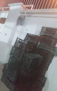 خرید سبد قیمت روز