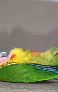 گرینچیک ۵۰ روزه