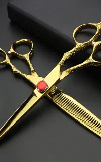 آرایشگر سیار