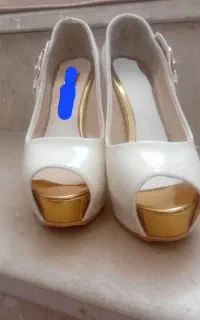 کفش مجلسی